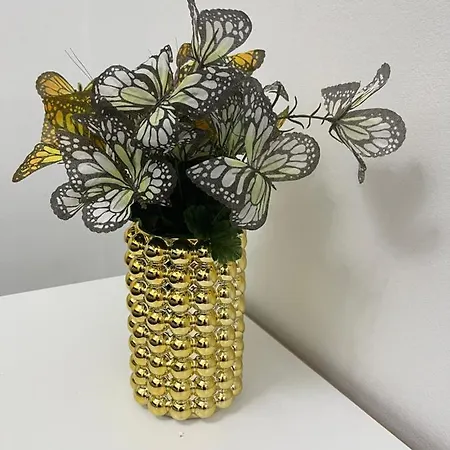 Apartment Butterfly Touch Sarande